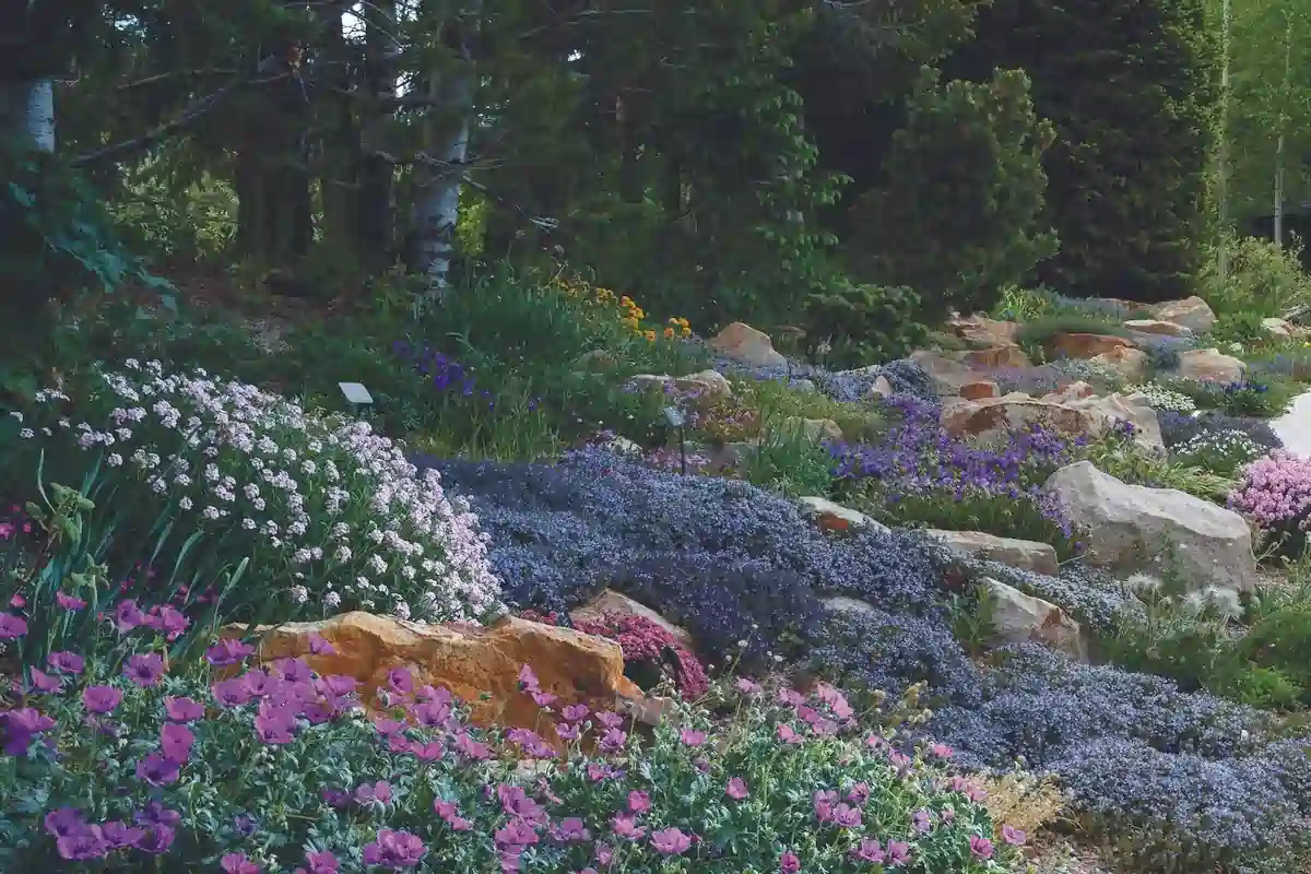How Alpine Gardens Create A More Relaxing And Peaceful Outdoor Space