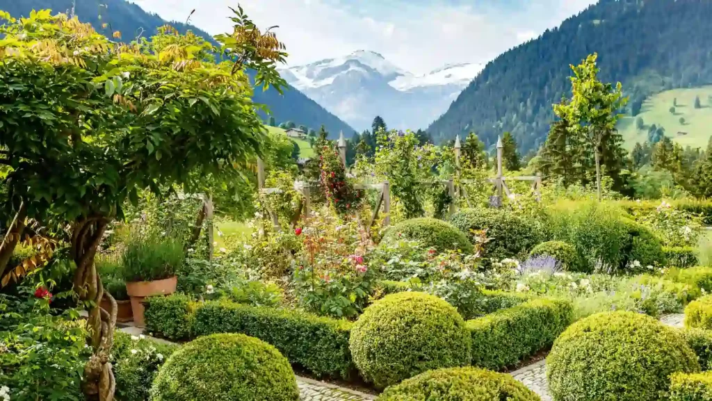 Why Choose Alpine Plants For Your Garden